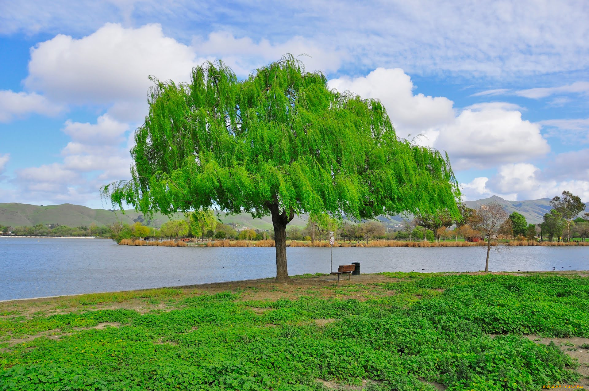 , , fremont